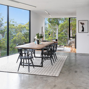 ホバートの広いコンテンポラリースタイルのLDKの画像 (コンクリートの床、白い壁、グレーの床)