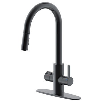 HotMaster 4 in 1 Instant Hot Kitchen Faucet, Oil Rubbed Bronze