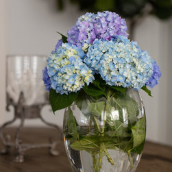 Avon-by-the-Sea - Home Decor