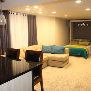 Inspiration for a medium sized contemporary basement in Minneapolis with carpet, beige walls and no fireplace.
