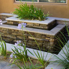 Landscape Ideas