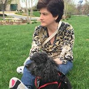 Sarah Peirce's photo