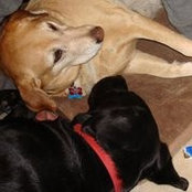 Teresa Tovar's photo