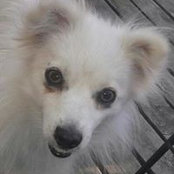 Carolyn Hyde's photo