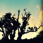 Photo de Johanna Bird