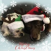 Sherry Rummel Leigh's photo