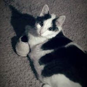Tracey Robbins-Dowling's photo