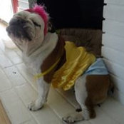 Misty Potter's photo