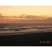 Elizabeth Perez-Bonner's photo