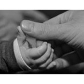 Cyril Dognin's photo