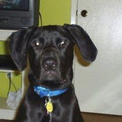 Denise Brasington's photo