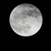 Lisa Webster's photo