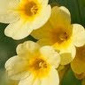 Erin Smith-Hagberg's photo