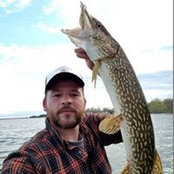 Allan Shimmel's photo