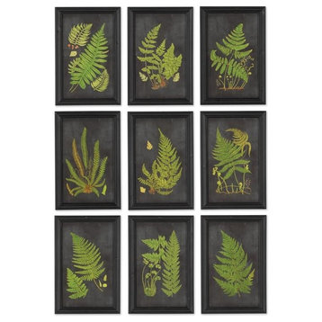 Framed Fern Botanical Prints, Set of 9