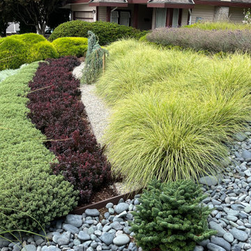 View of the mid section and bench - 2nd year growth