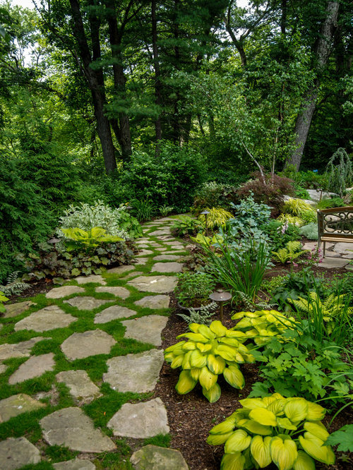 46 Backyard Landscaping Ideas Landscaping Tips And