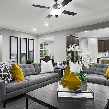 Dalton model home in Florida