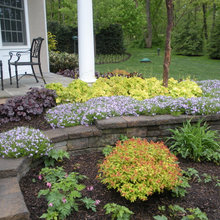 Side of Garage landscaping