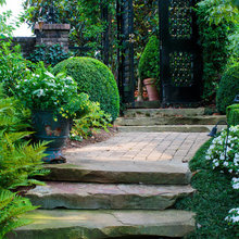Landscape Ideas