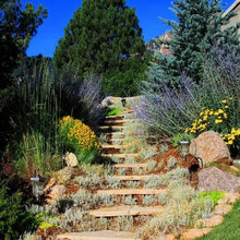 Landscape Ideas