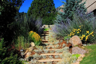 Design ideas for a traditional sloped garden in Denver with with rock feature.