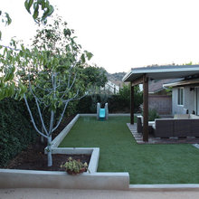 Landscape Ideas