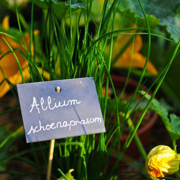 Une idée "bien être" du jardin