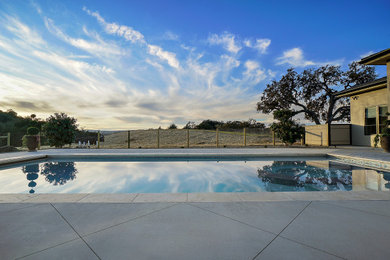 Imagen de piscina natural minimalista grande rectangular en patio trasero con paisajismo de piscina y losas de hormigón