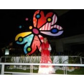 Geza S's photo