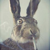 Melissa Tarrants's photo
