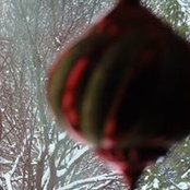 Pat Lence's photo