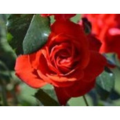 Amy Ritter's photo