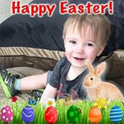 Sandra Anne Ward's photo