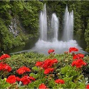 Nidia Arredondo's photo