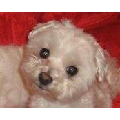 Sherri Harden's photo