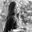 Ashley Miller Design