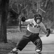 Stephanie Wysocki's photo