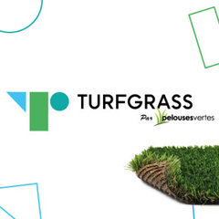 TURFGRASS