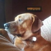 Rhonda Keating's photo