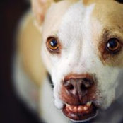 Todd Thomassen's photo