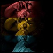 Darrell Rosalia's photo