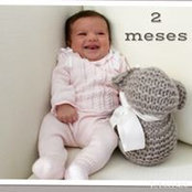 Diego Palacios's photo