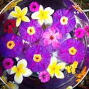 Jeni Rosenthal's photo