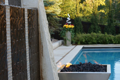 Inspiration for a mid-sized contemporary backyard concrete paver landscaping in Denver for summer.