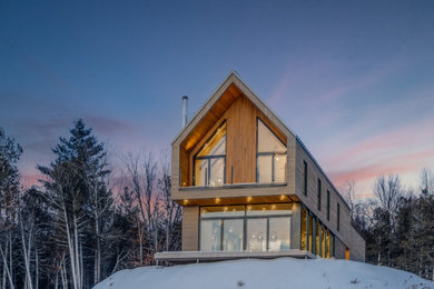 Modelo de fachada de casa gris escandinava con revestimiento de madera y tejado de metal