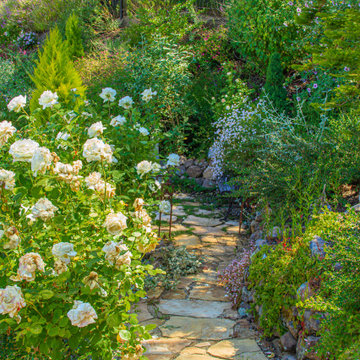 Project 5 - Rose Garden Path