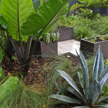 Mid-Century Modern Garden