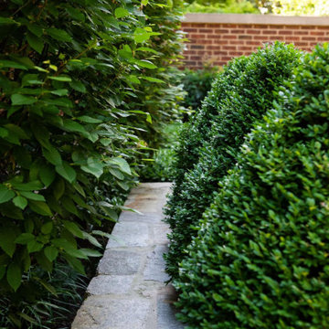 A Verdant Courtyard