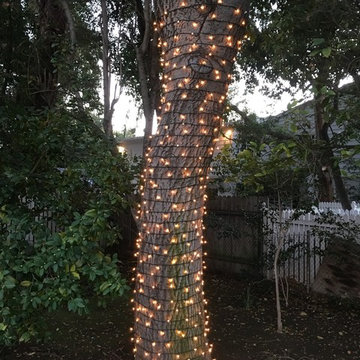 Tree Wrapping - Light Strings